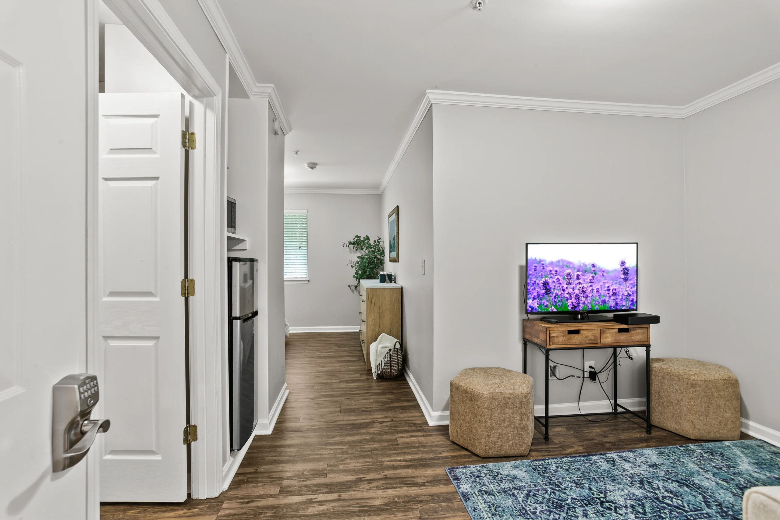 bellevue village at neese road one bedroom hall