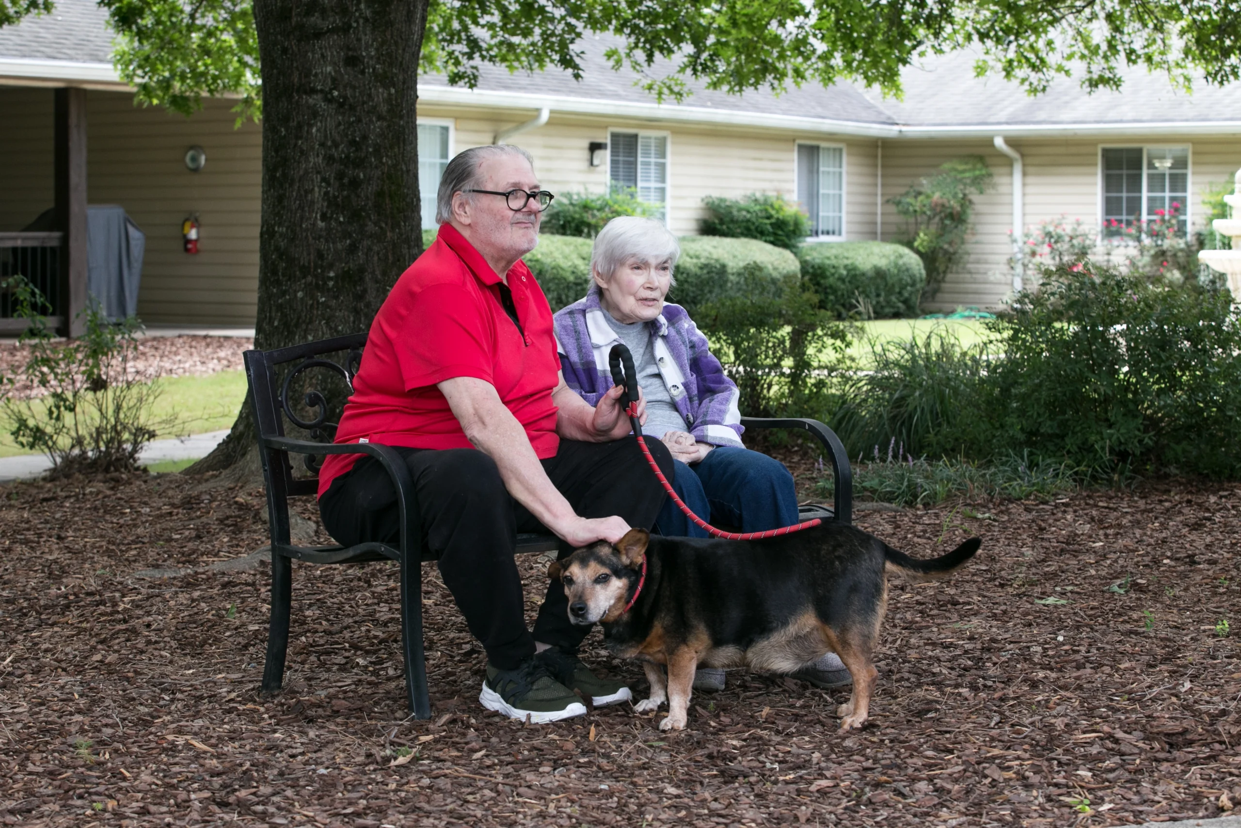 elder couple playing with dog